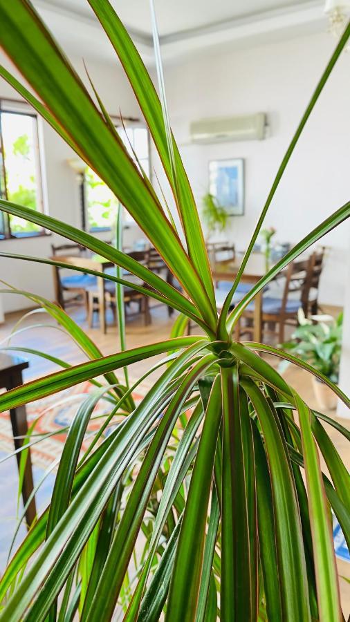 Kaleici Hotel Antalya Ngoại thất bức ảnh