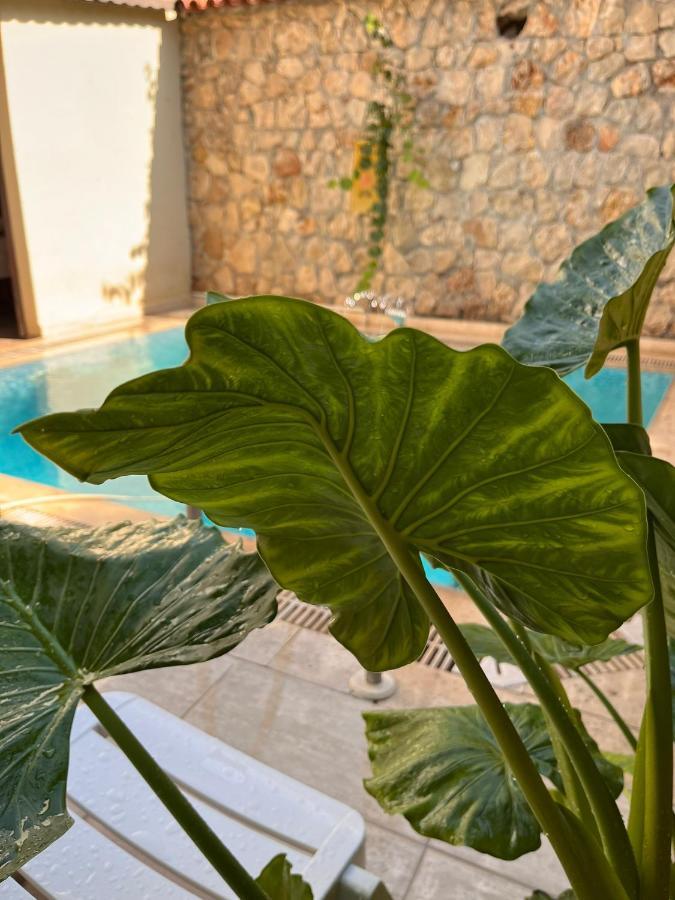 Kaleici Hotel Antalya Ngoại thất bức ảnh
